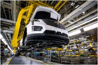 凯迪拉克品牌体验日圆满落幕，携手大卓科技共启智能出行新篇章