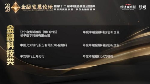 迎挑战 创新绩 桔子数科荣获“年度卓越金融科技创新企业”彰显实力